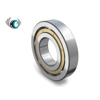 Precision Deep Groove Ball Bearings | Metric, Inch & Flanged Series