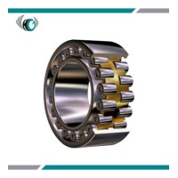 Double row Cylindrical Roller Bearing Double row Cylindrical Roller Bearing