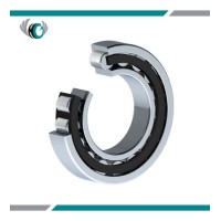 Single row Cylindrical Roller Bearing Single row Cylindrical Roller Bearing